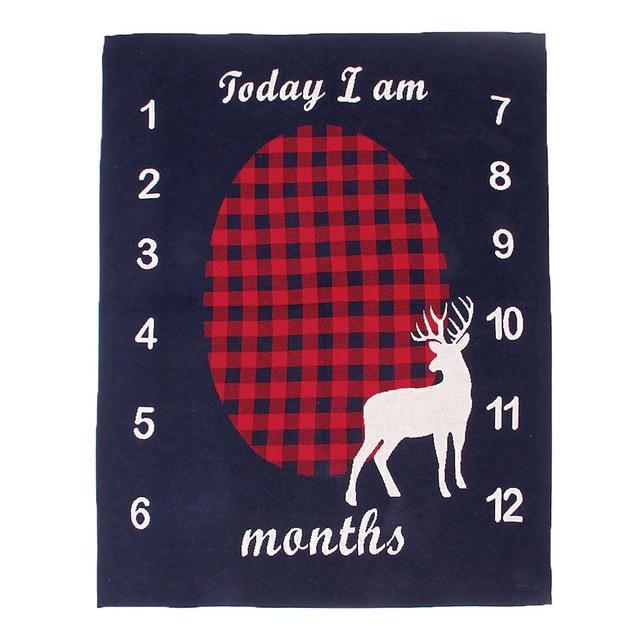 Monthly Milestone Blanket